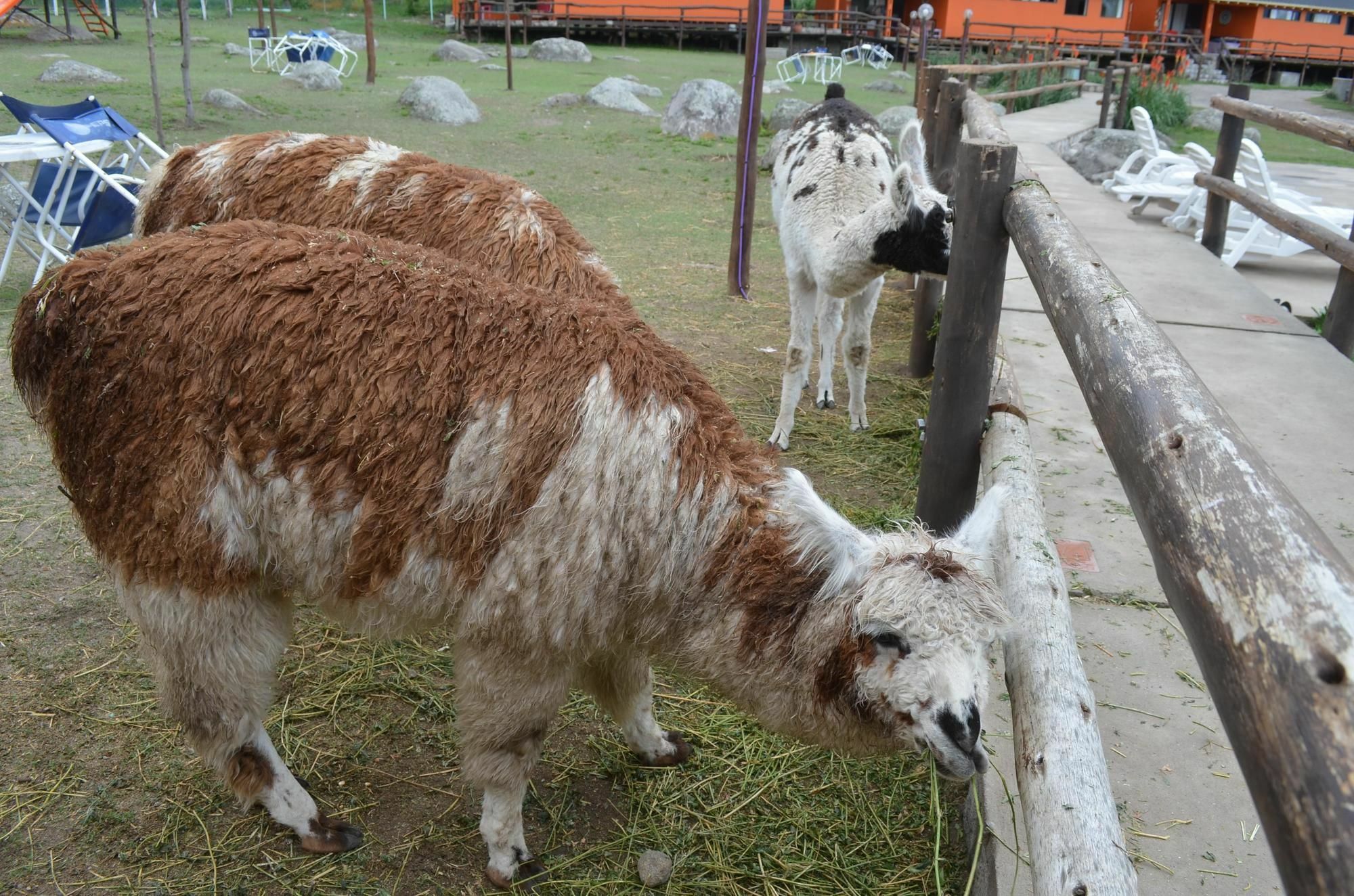 Descanso De Las Piedras ตาฟิเดลบาเญ ภายนอก รูปภาพ
